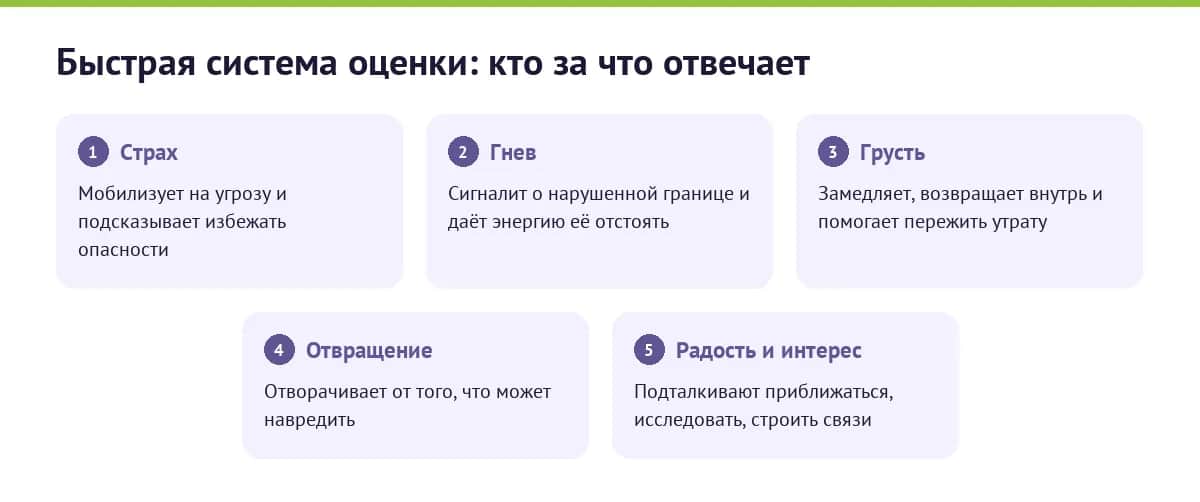 Функции базовых эмоций — страх, гнев, грусть, отвращение, радость