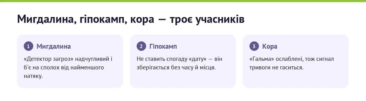 Інфографіка: три учасники флешбеку в мозку — мигдалина бʼє на сполох, гіпокамп не ставить дату, кора не гальмує