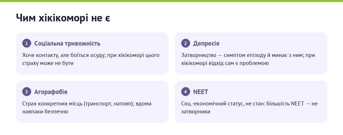 Чим хікікоморі відрізняється від соціальної тривоги, депресії, агорафобії та статусу NEET