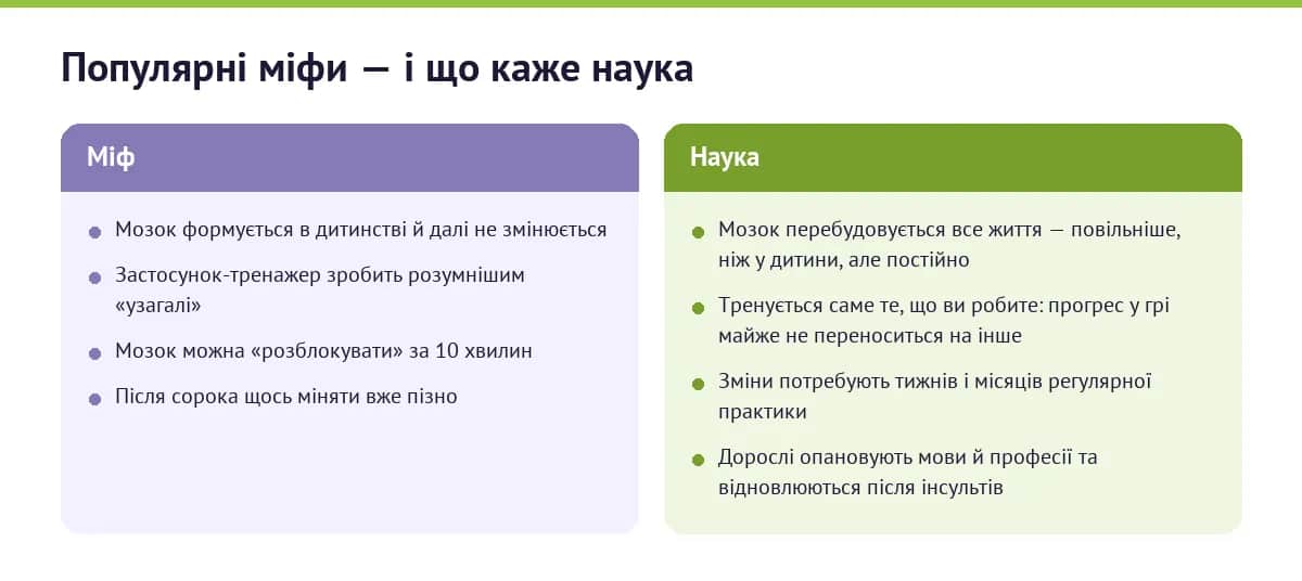 Порівняння популярних міфів про мозок із даними науки про нейропластичність