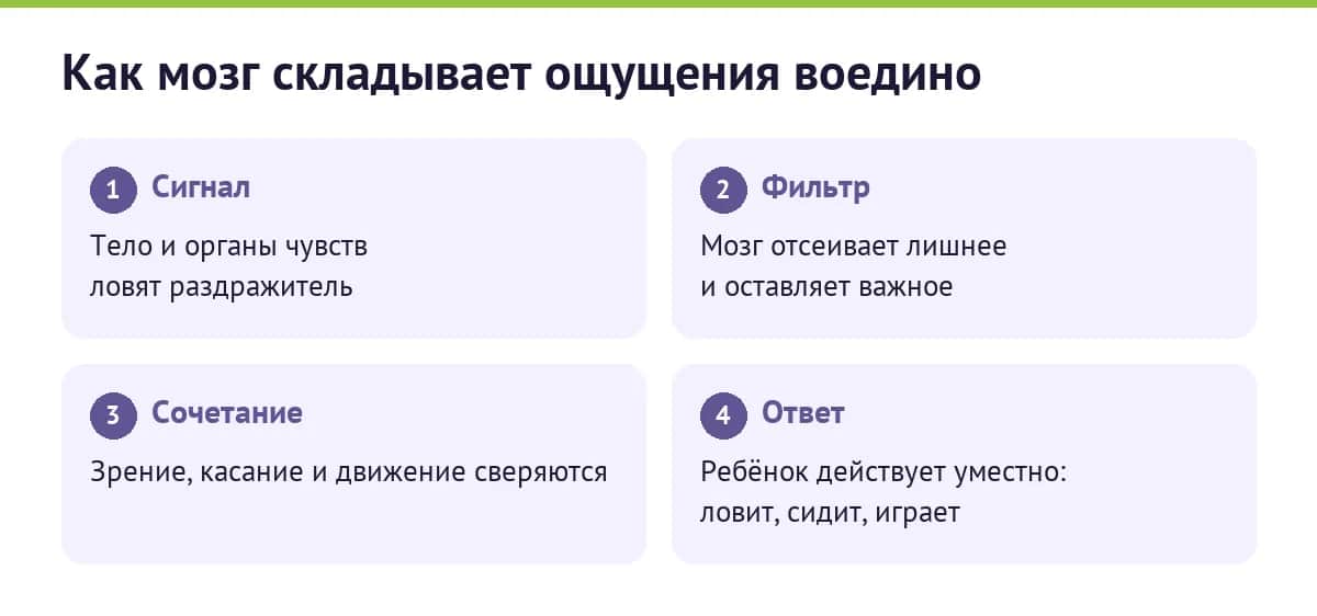 Как мозг складывает ощущения воедино