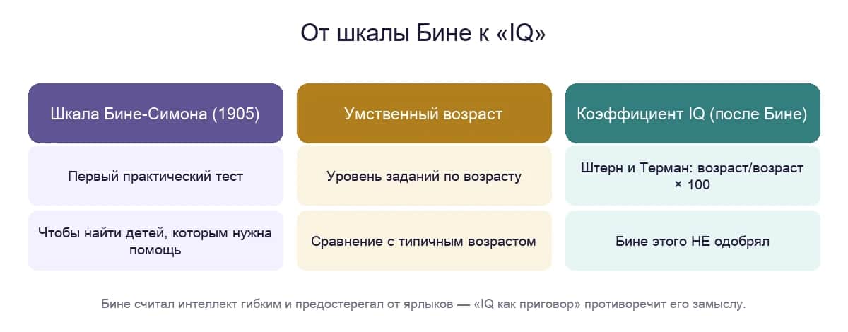 От шкалы Бине к «IQ»: как тест для помощи детям превратили в коэффициент-ярлык