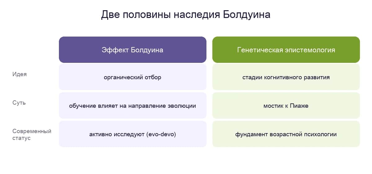 Две половины наследия Болдуина: эффект Болдуина в эволюционной биологии и генетическая эпистемология как мостик к Пиаже