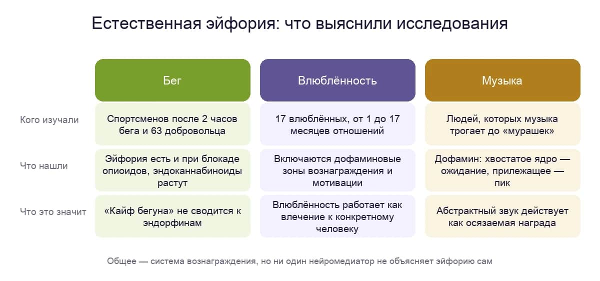 Естественная эйфория в исследованиях: бег, влюблённость и музыка — кого изучали, что нашли и какое упрощение это опровергло