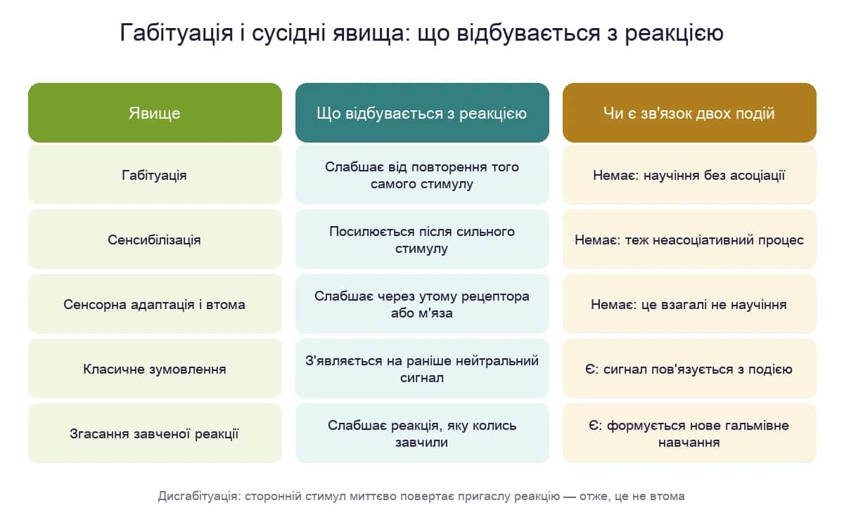 Габітуація поруч із сенсибілізацією, зумовленням і втомою: що відбувається з реакцією