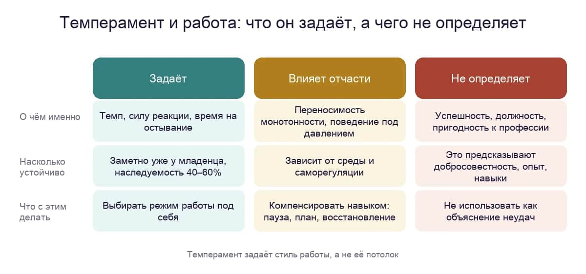 Темперамент и работа: что он задаёт, на что влияет отчасти и чего не определяет