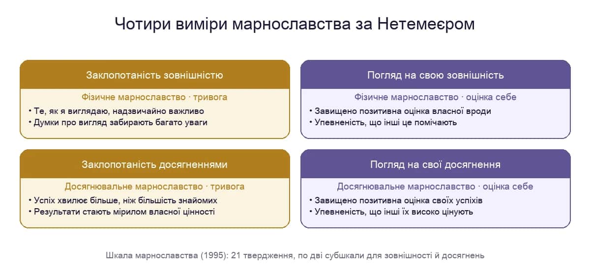 Чотири виміри марнославства за шкалою Нетемеєра: заклопотаність і погляд на зовнішність та на досягнення