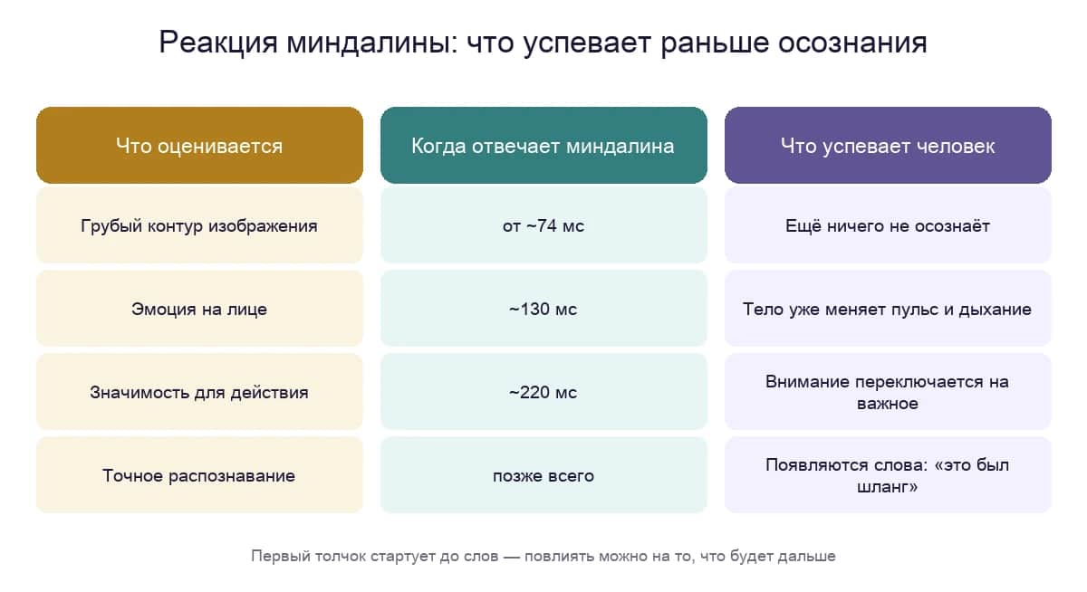 Три шага реакции миндалины: сигнал, тело, осознание