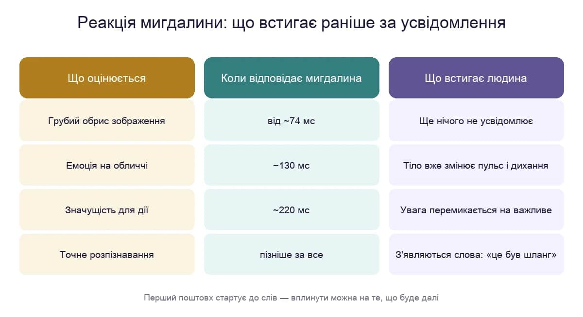 Три кроки реакції мигдалини: сигнал, тіло, усвідомлення