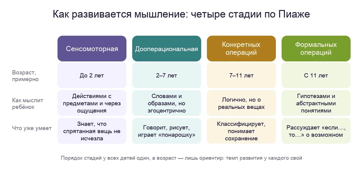 Четыре стадии развития мышления по Пиаже: от действий с предметами до рассуждений о возможном