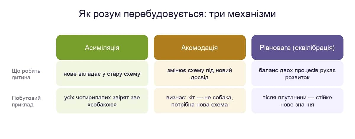 Три механізми адаптації за Піаже: асиміляція, акомодація, рівновага