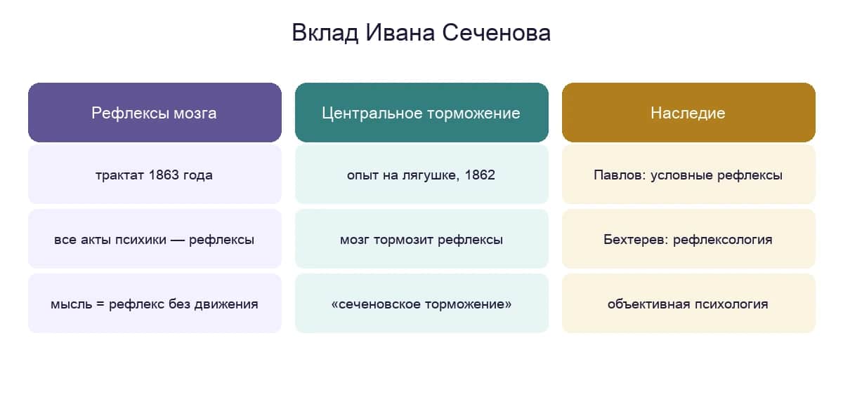 Три составляющие вклада Ивана Сеченова: рефлексы головного мозга, центральное торможение и наследие в объективной психологии