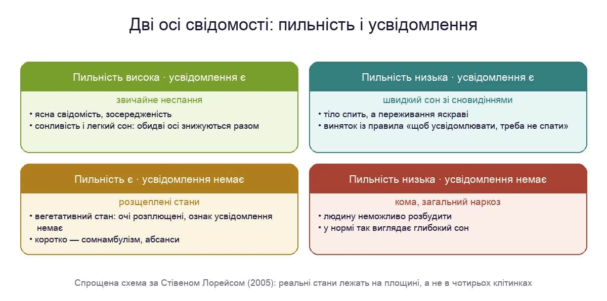 Дві осі свідомості: пильність і усвідомлення — звичайне неспання, сон зі сновидіннями, вегетативний стан, кома і наркоз