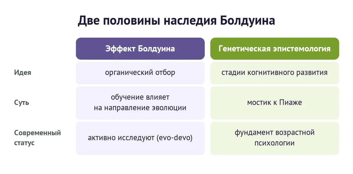 Две половины наследия Болдуина: эффект Болдуина в эволюционной биологии и генетическая эпистемология как мостик к Пиаже