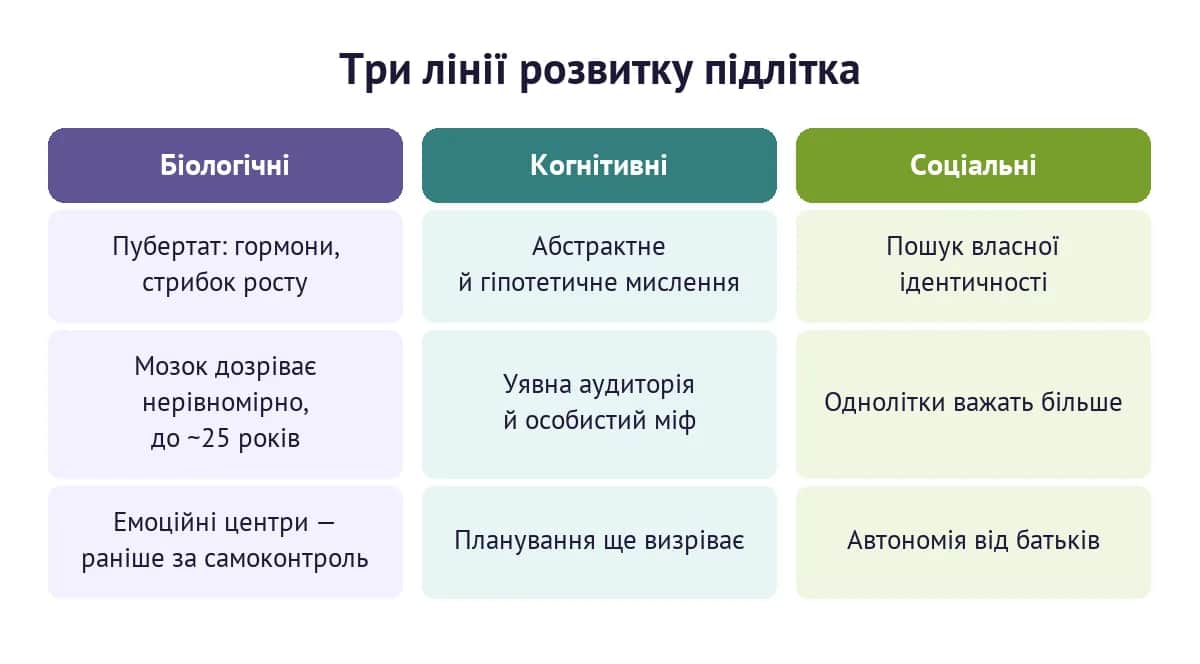Три лінії розвитку підлітка: біологічна, когнітивна й соціальна
