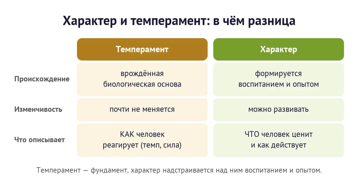 Характер и темперамент: происхождение, изменчивость и что описывает каждое понятие
