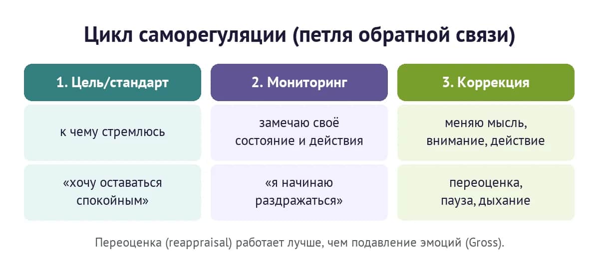 Цикл саморегуляции: цель, мониторинг состояния и коррекция мысли, внимания и действия