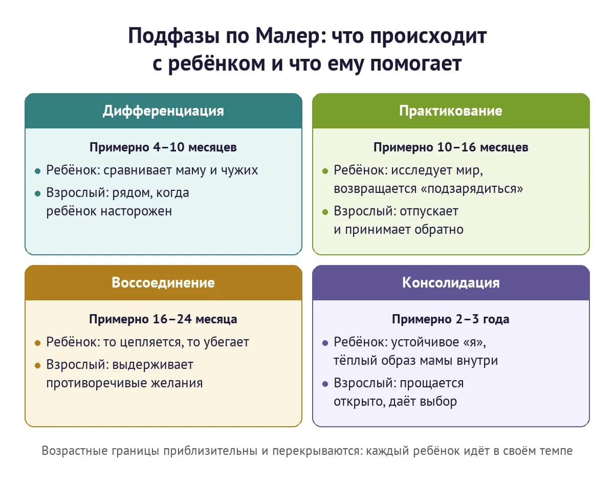 Подфазы сепарации-индивидуации по Малер: что происходит с ребёнком и что ему помогает