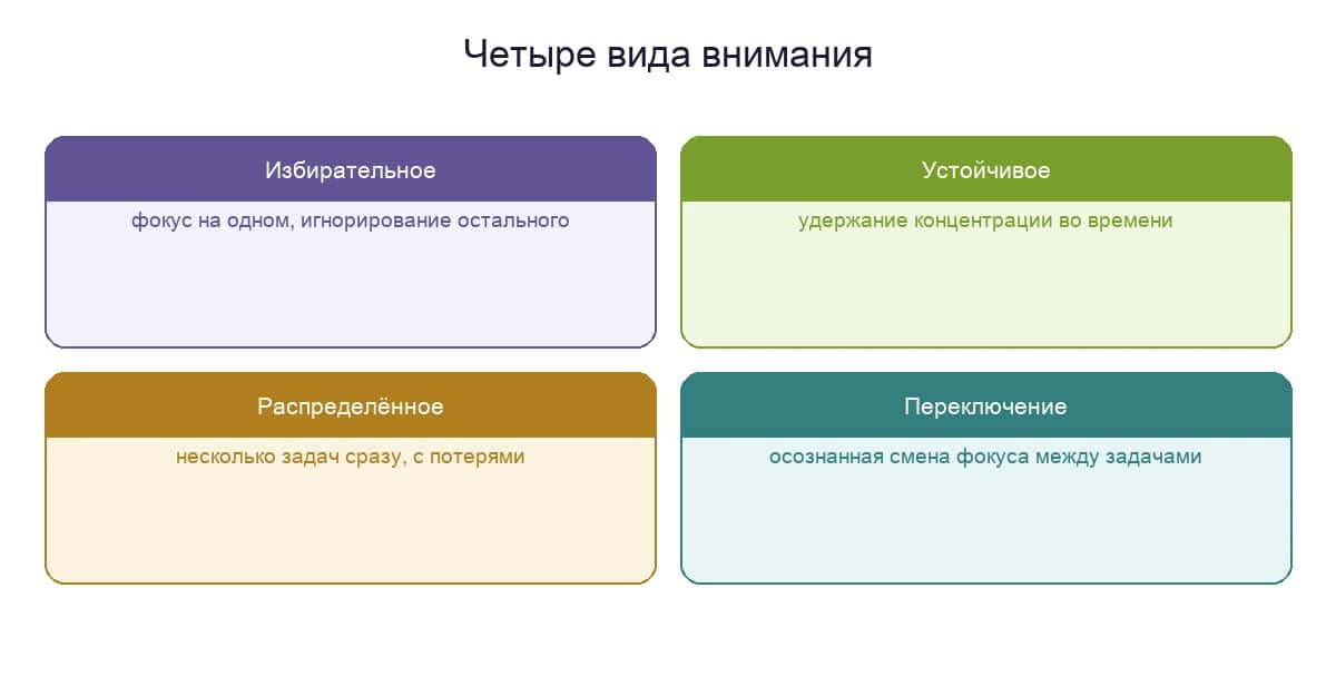 Четыре вида внимания: избирательное, устойчивое, распределённое и переключение