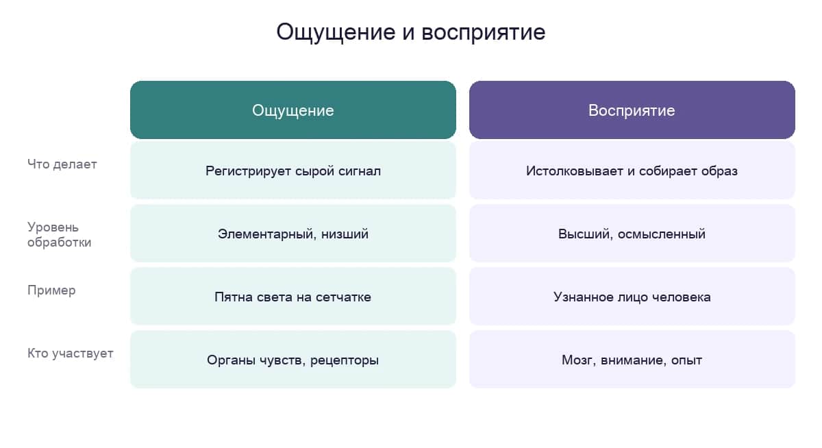 Ощущение и восприятие: два уровня обработки сенсорной информации