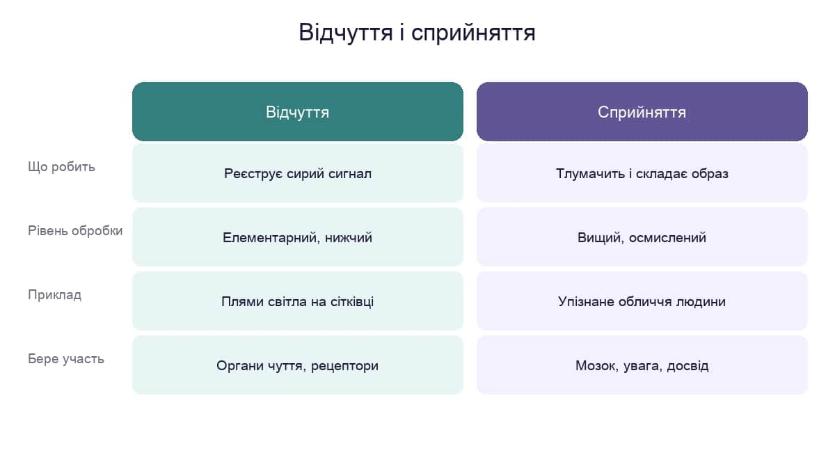 Відчуття і сприйняття: два рівні обробки сенсорної інформації