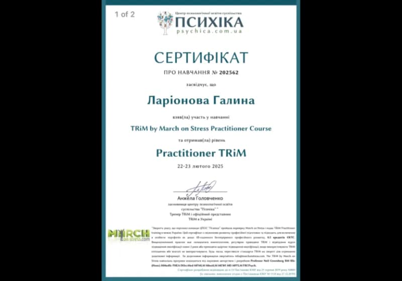 Сертификат 9