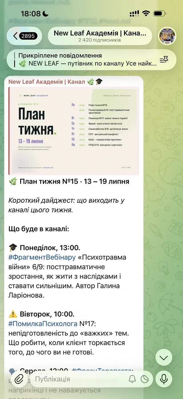 New Leaf Академия | Канал