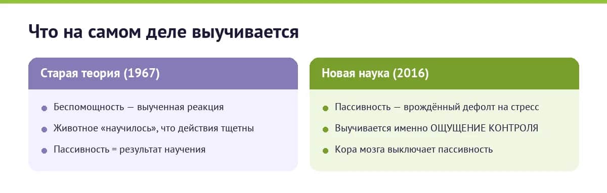 Старая теория 1967 и современное понимание 2016: что на самом деле выучивается