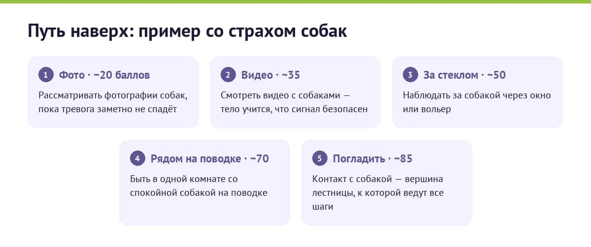 Пример иерархии экспозиции при страхе собак: пять ступеней от фото до контакта