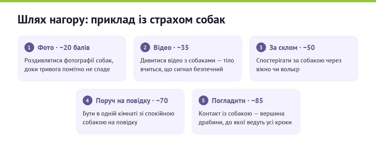 Приклад ієрархії експозиції при страху собак: п'ять сходинок від фото до контакту