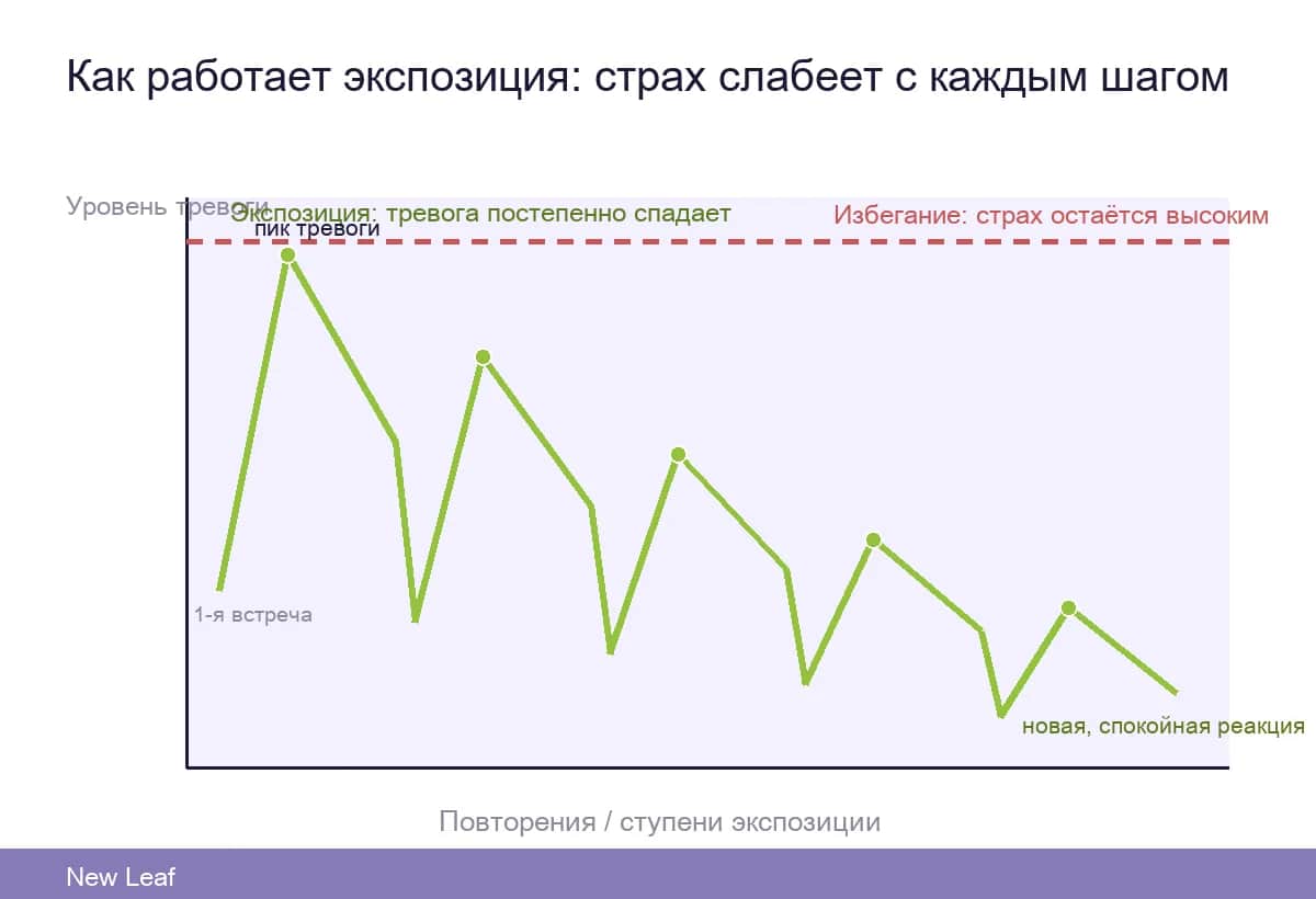 Кривая привыкания: как тревога спадает во время экспозиции
