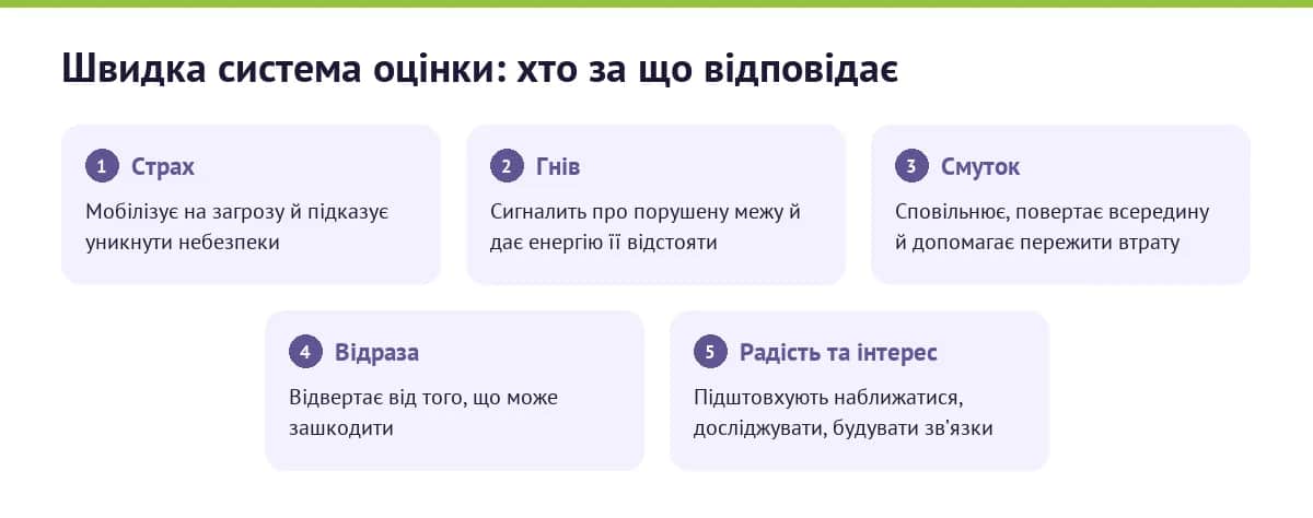 Функції базових емоцій — страх, гнів, смуток, відраза, радість