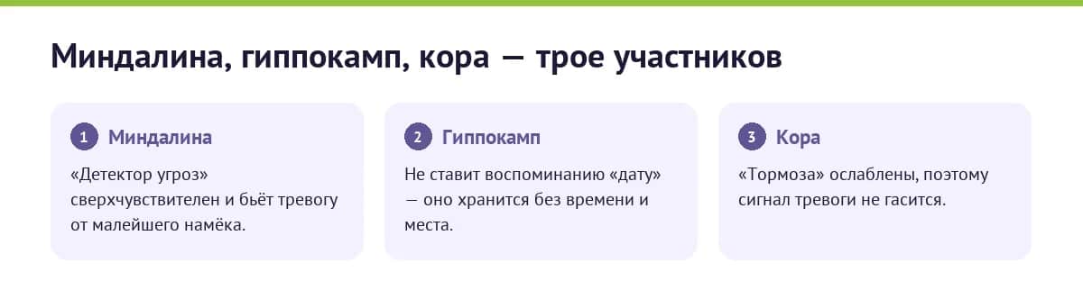 Инфографика: три участника флешбека в мозге — миндалина бьёт тревогу, гиппокамп не ставит дату, кора не тормозит