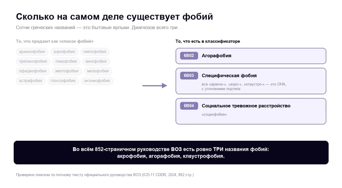 Сколько на самом деле существует фобий: сотни греческих названий — это три диагноза