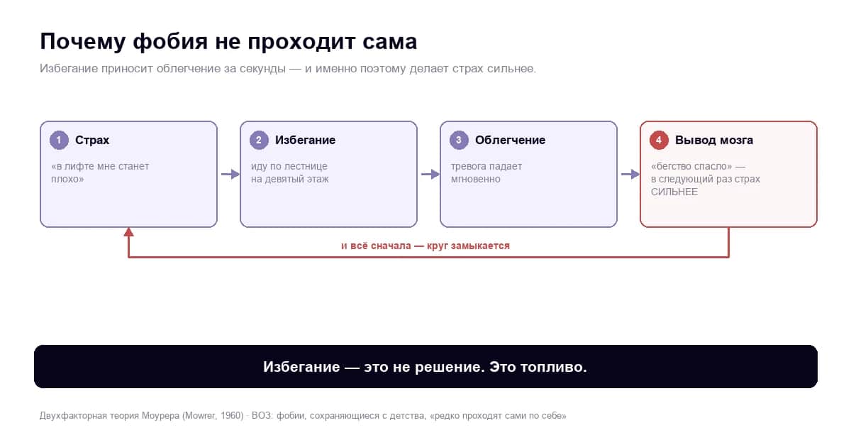 Почему фобия не проходит сама: круг избегания