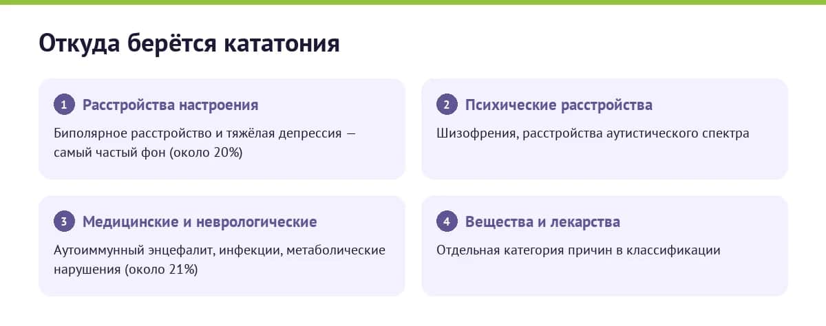 Причины кататонии: расстройства настроения, психические расстройства, медицинские и неврологические состояния