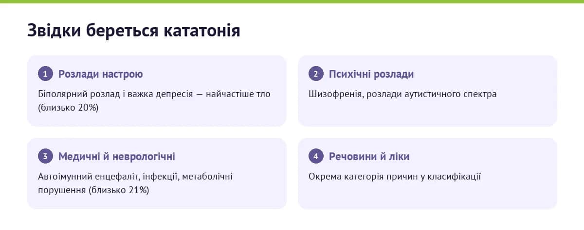 Причини кататонії: розлади настрою, психічні розлади, медичні та неврологічні стани