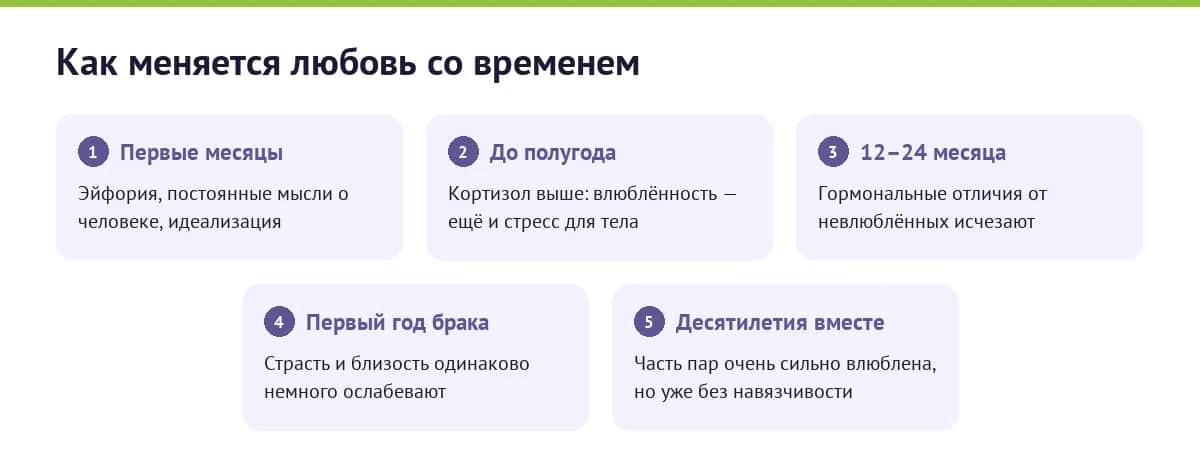 Схема: как меняется любовь — от эйфории первых месяцев к спокойной близости через годы