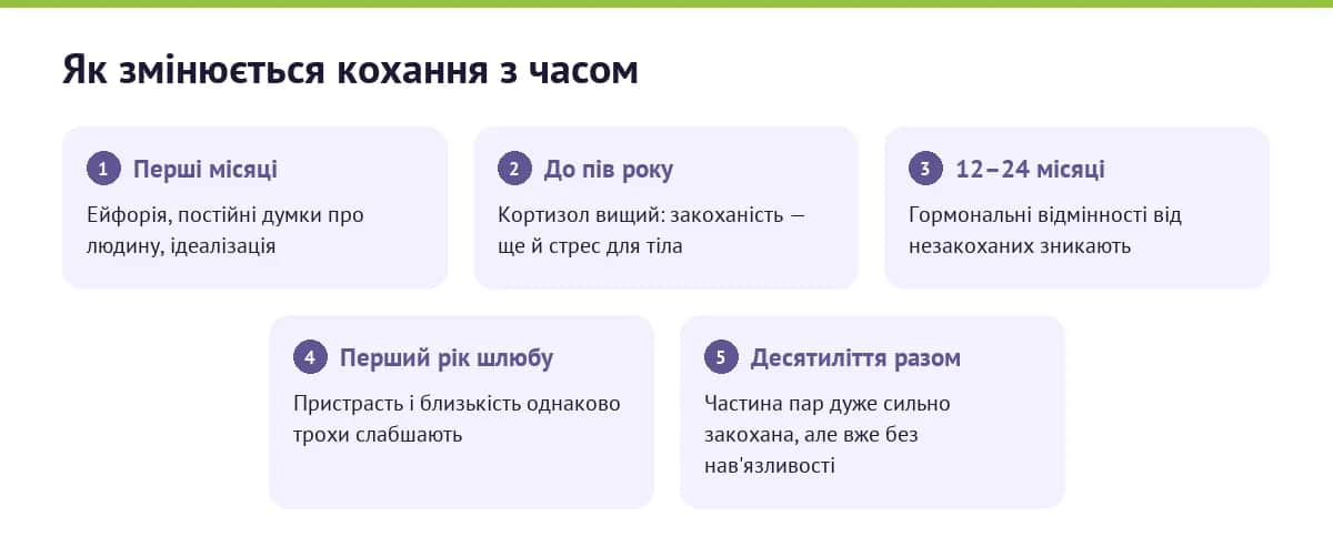Схема: як змінюється кохання — від ейфорії перших місяців до спокійної близькості через роки