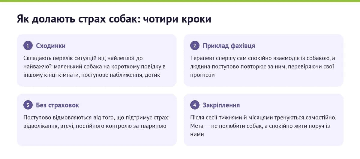Як долають страх собак: чотири кроки