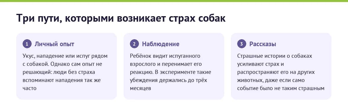 Три пути, которыми возникает страх собак