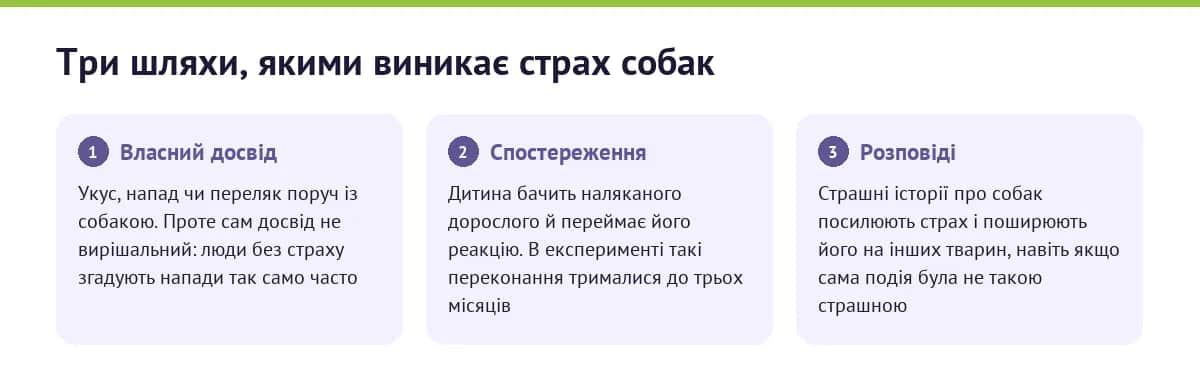 Три шляхи, якими виникає страх собак