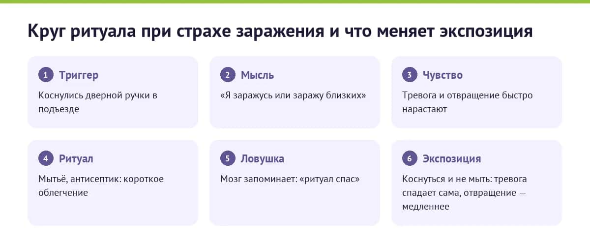 Схема: круг ритуала при страхе заражения и что меняет экспозиция с предотвращением реакции