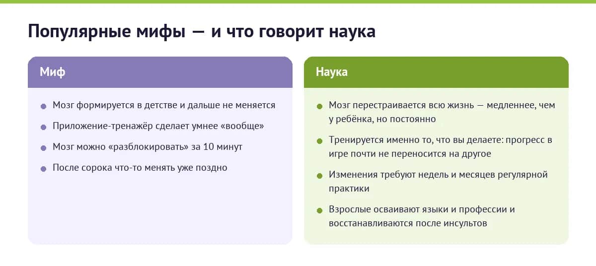 Сравнение популярных мифов о мозге с данными науки о нейропластичности