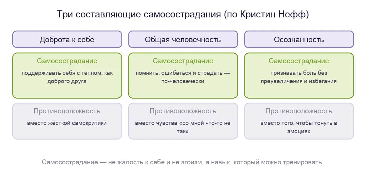 Три составляющие самосострадания по Кристин Нефф: доброта к себе, общая человечность и осознанность
