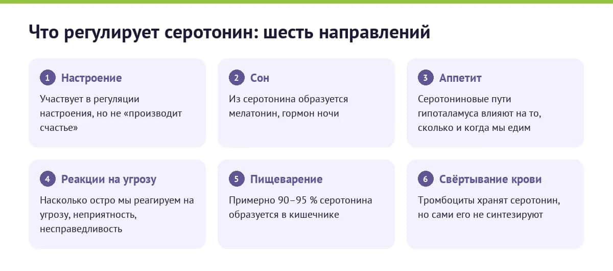 Что регулирует серотонин: настроение, сон, аппетит, эмоциональные реакции, пищеварение и свёртывание крови
