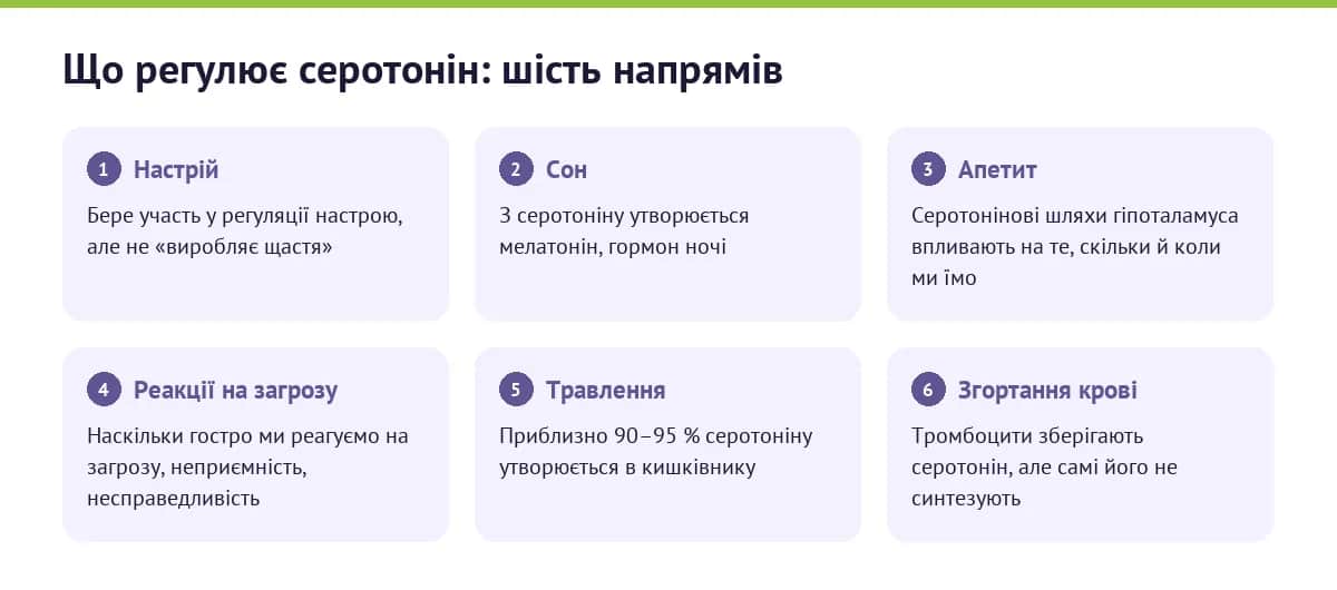 Що регулює серотонін: настрій, сон, апетит, емоційні реакції, травлення і згортання крові