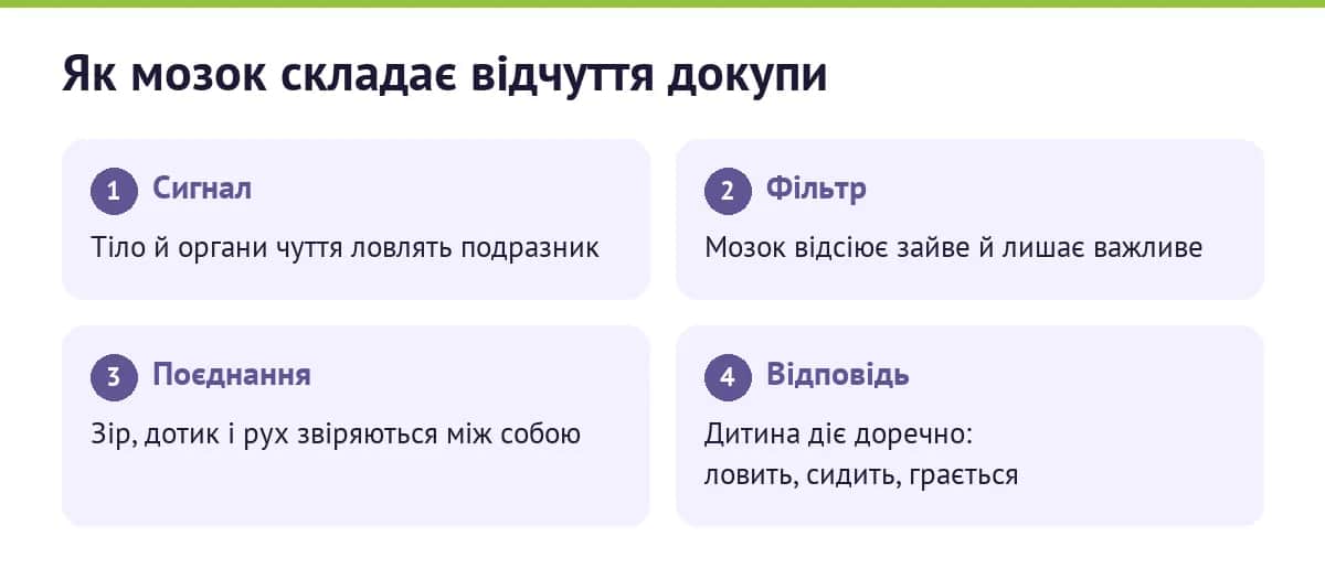 Як мозок складає відчуття докупи