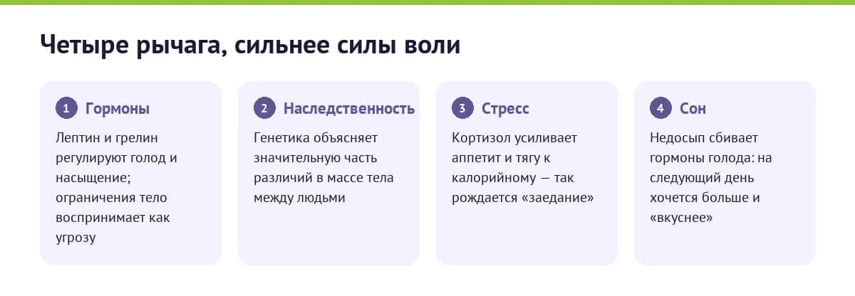 Что на самом деле регулирует вес: гормоны, наследственность, стресс и сон