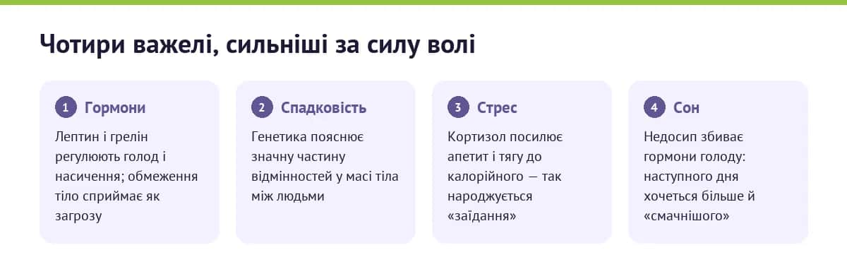 Що насправді регулює вагу: гормони, спадковість, стрес і сон